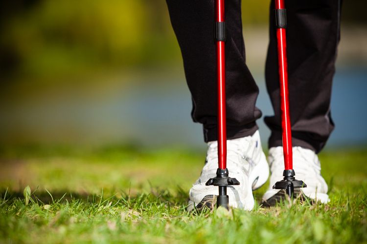 Hroty holí nordic walking