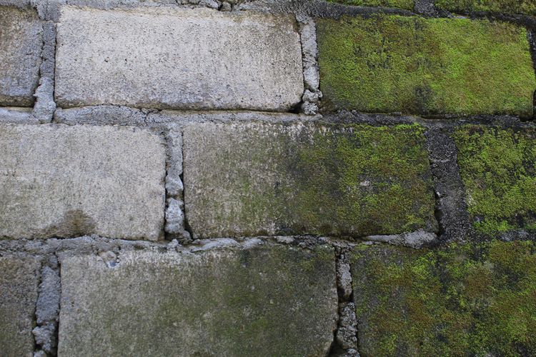 Jak Odstranit Mech Z Betonu