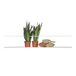 Bílá police De Eekhoorn Meert, délka 100 cm