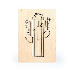 DIY obraz Really Nice Things Cactus, 40 x 60 cm
