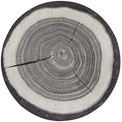 Koberec Hanse Home Tree Trunk, ⌀ 133 cm