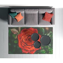 Koberec Oyo home Suzzo Rosaremento, 80 x 150 cm