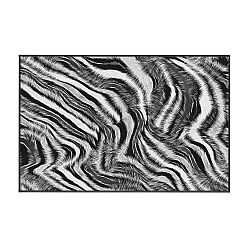 Koberec Oyo home Zebra, 80 x 140 cm