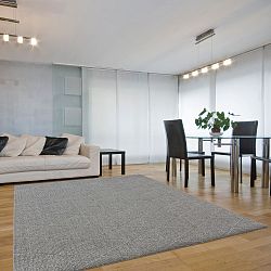 Koberec Petronas Grey, 117x167 cm