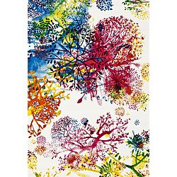 Koberec Universal Tikey Flower, 160 x 230 cm