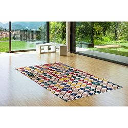 Koberec Vitaus Hank, 80 x 150 cm