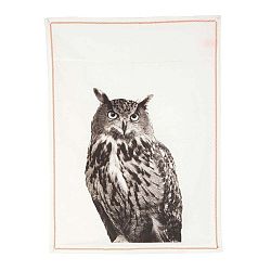 Kuchyňská utěrka Plain White Owl, 50x70 cm