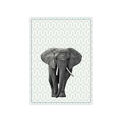 Kuchyňská utěrka Present Time Elephant