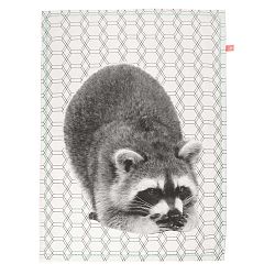 Kuchyňská utěrka Present Time Racoon