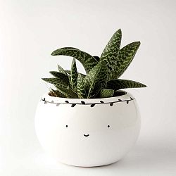 Kulatý květináč Smiling with Black Leaves, 16 cm
