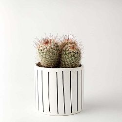 Květináč FOR.REST Design Strips, 11 cm