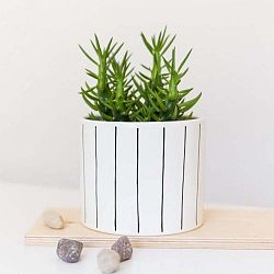 Květináč FOR.REST Design Strips, 13,5 cm