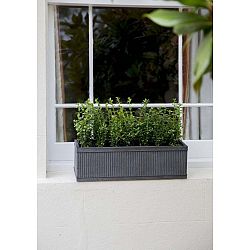 Květináč Garden Trading Vence Window, 60 x 18 cm