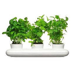Květináč na bylinky Sagaform Trio Herb 