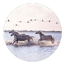 Nástěnná dekorace Styler Ring Horses, ø 70 cm