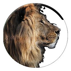 Nástěnná dekorace Styler Ring Lion, ø 70 cm
