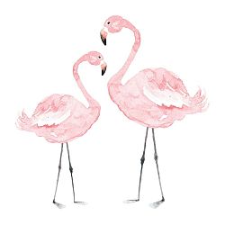 Nástěnná samolepka Dekornik Flamingos, 55 x 55 cm