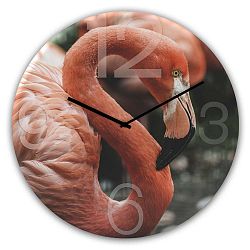 Nástěnné hodiny Styler Glassclock Flamingo, ⌀ 30 cm