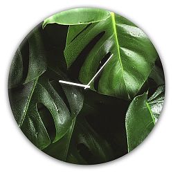 Nástěnné hodiny Styler Glassclock Monstera, ⌀ 30 cm