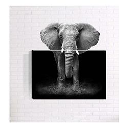 Nástěnný 3D obraz Mosticx Afrika, 40 x 60 cm