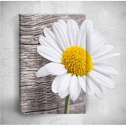 Nástěnný 3D obraz Mosticx Daisy Detail, 40 x 60 cm