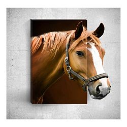 Nástěnný 3D obraz Mosticx Horse, 40 x 60 cm