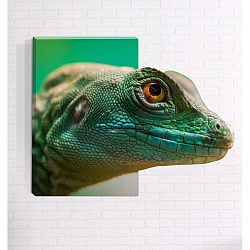 Nástěnný 3D obraz Mosticx Ještěr, 40 x 60 cm