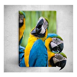 Nástěnný 3D obraz Mosticx Parrots, 40 x 60 cm