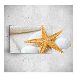 Nástěnný 3D obraz Mosticx Sea Star, 40 x 60 cm