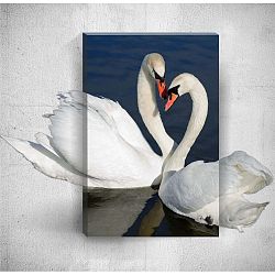 Nástěnný 3D obraz Mosticx Swans, 40 x 60 cm