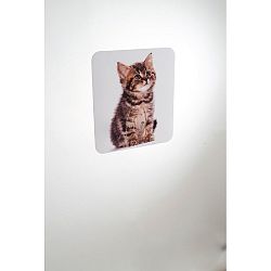 Nástěnný háček Compactor Magic Cat