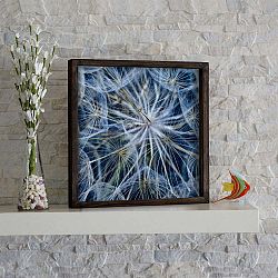 Nástěnný obraz Bathroom Dandelion, 34 x 34 cm