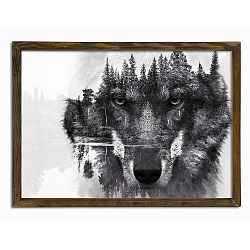 Nástěnný obraz Husky, 70 x 50 cm