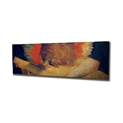 Nástěnný obraz na plátně Angel, 80 x 30 cm