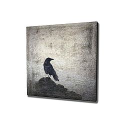 Nástěnný obraz na plátně Black Bird, 45 x 45 cm