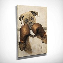 Nástěnný obraz na plátně Boxer, 30 x 40 cm