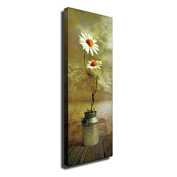 Nástěnný obraz na plátně Daisy, 30 x 80 cm