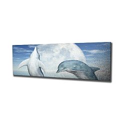 Nástěnný obraz na plátně Dolphins, 80 x 30 cm