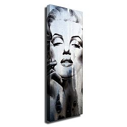 Nástěnný obraz na plátně Marilyn, 30 x 80 cm