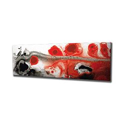 Nástěnný obraz na plátně Poppy, 80 x 30 cm