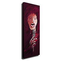 Nástěnný obraz na plátně Singer, 30 x 80 cm