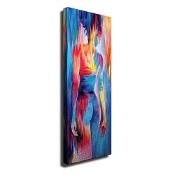 Nástěnný obraz na plátně Woman, 30 x 80 cm