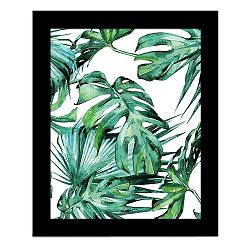 Obraz Alpyros Jungle, 23 x 28 cm