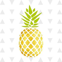 Obraz Canvas Framework Ananas, 50 x 50 cm