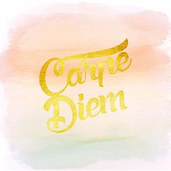 Obraz Canvas Framework Carpe Diem, 50 x 50 cm
