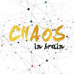 Obraz Canvas Framework Chaos, 50 x 50 cm
