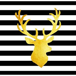 Obraz Canvas Framework Deer, 50 x 50 cm