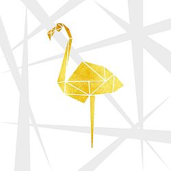 Obraz Canvas Framework Flamingo, 50 x 50 cm
