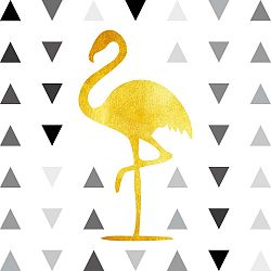 Obraz Canvas Framework Flamingo II, 50 x 50 cm