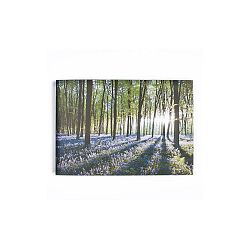 Obraz Graham & Brown Bluebell Landscape, 100 x 70 cm